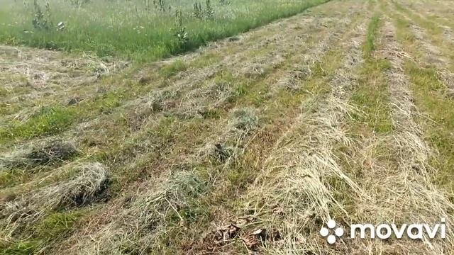 Самодельные грабли для сена. Уборка сена