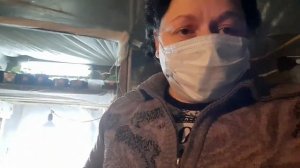 Как избавится от белокрылки? Народные средства работают