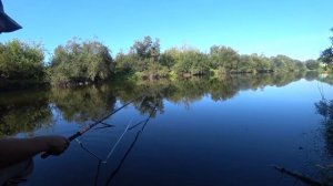 ТАКОГО ВЫ ЕЩЁ НЕ ВИДЕЛИ! РЫБАЛКА НА КАРАСЯ НОЧЬЮ НА СВЕТЯЩИЙСЯ ПОПЛАВОК  Часть 1