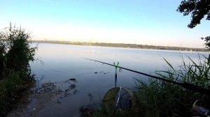 Ловля Плотвы | Рыбалка в Воронеже
