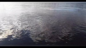 Рыбалка в кызыле на ТЭЦ в формате  4К. Fishing in Kyzyl at the CHP in 4K format.