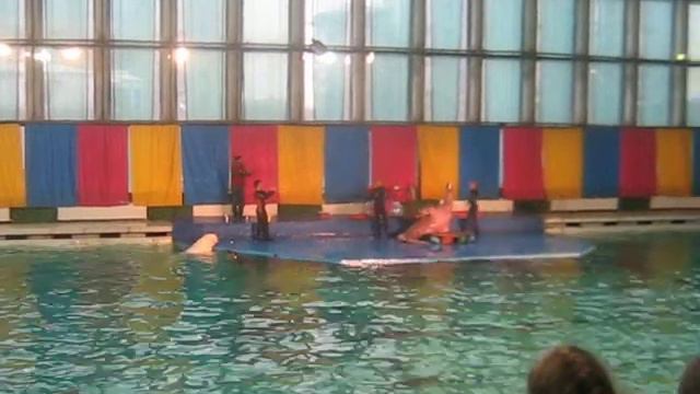 Дельфинарий,Санкт-Петербург смотреть онлайн