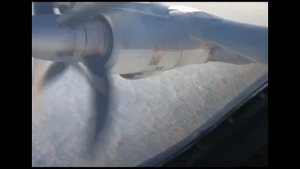 Привет Зеленскому