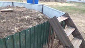 Замер быка сколько весит Тайся? Делаем лестницу на погреб.