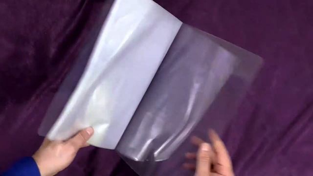 Образец RS0765 - папка прозрачная с файлами и логотипом смотреть онлайн