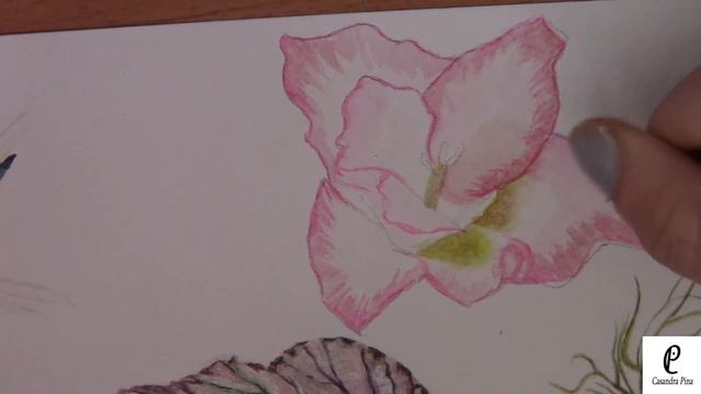 Gladiolus смотреть онлайн