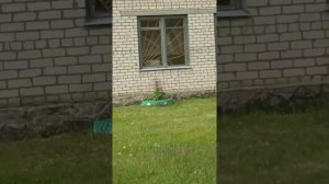 Чубаровка,Колышлейский район Пензенская область