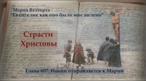 Глава 607. Иоанн отправляется к Марии