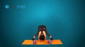 Асаны йоги. Прасарита падоттанасана