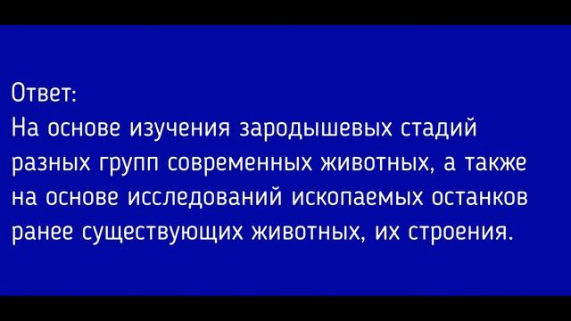 Биология 7 класс. §27 Происхождение животных. Основные этапы эволюции животного мира