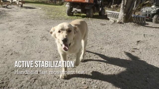 TWO MONTHS WITH THE SONY FX30 COMING FROM THE SONY A6500 (MY THOUGHTS & TEST FOOTAGE) смотреть онлайн