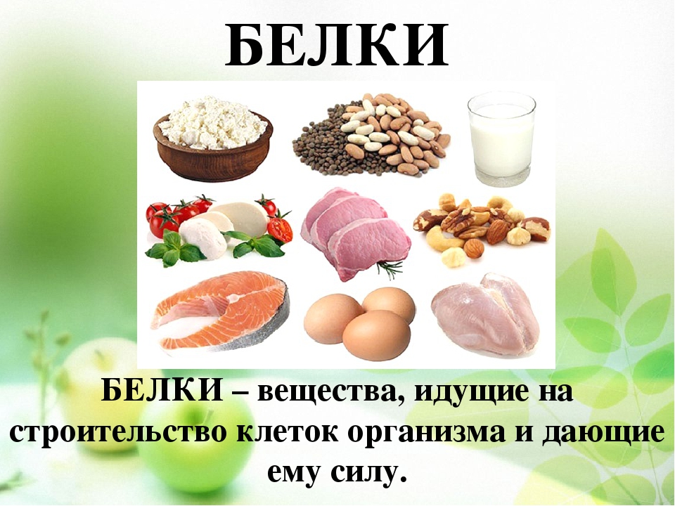 Почему нельзя есть белки с кашами