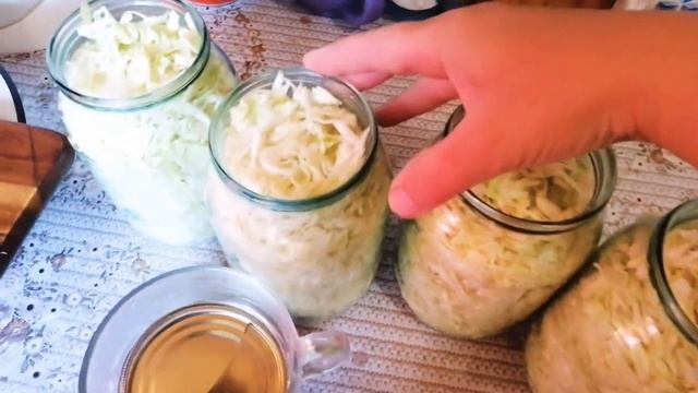 Ранняя капуста консервированая.