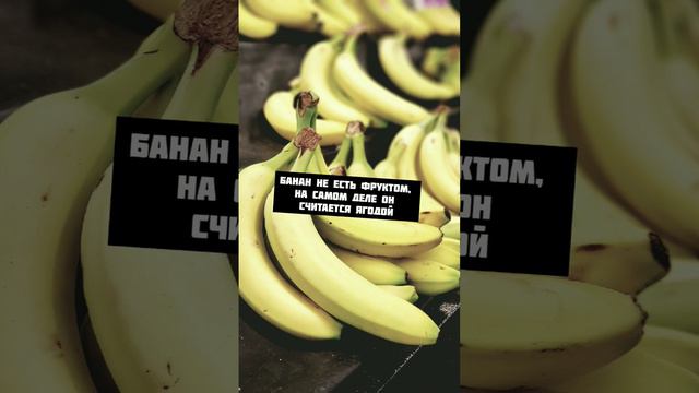 Интересный факт про Банан🍌