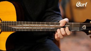 Cort Luxe II Frank Gambale / 콜트 기타