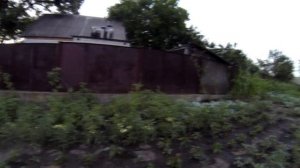 Как приготовить куриный помет мой способ. Яма для отстоя куриного помета, удобрение куриным пометом