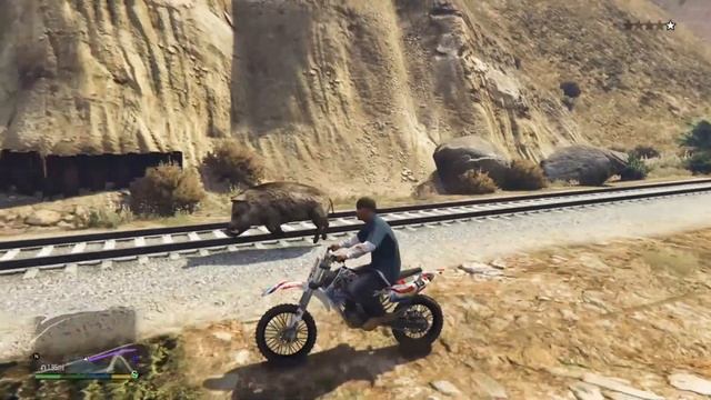 Догнал кабана в гта-5 смотреть онлайн