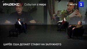 Царёв: США делают ставку на Залужного