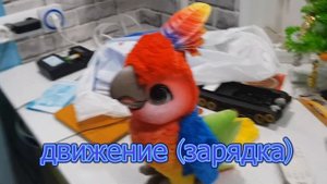 Интерактивная игрушка поющий Кеша попугай артист (furreal friends - hasbro)