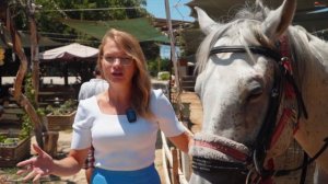 Район Оба. Обзор элитного района Алании от Агенства недвижимости и застройщика RestProperty