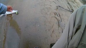 Рыбалка на Оби на спиннинг с берега  Ловля крупной Щуки  г  Новосибирск