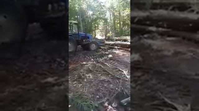 Лесной толкатель штабелер ЛТ-1221 +7925 589 65 90 смотреть онлайн