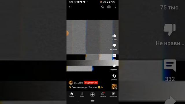 три кота смешные видео смотреть онлайн