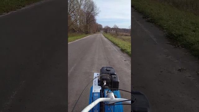 Очередная поездка за дровами на мотоблоке. смотреть онлайн