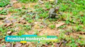 Hard terrify !!! Cruel boss fight lovely Julina seriously till convulsive around even mum help