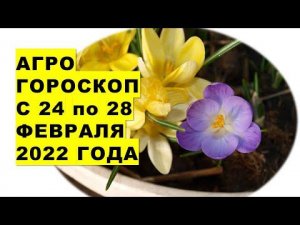 Агрогороскоп с 24 по 28 февраля 2022 года