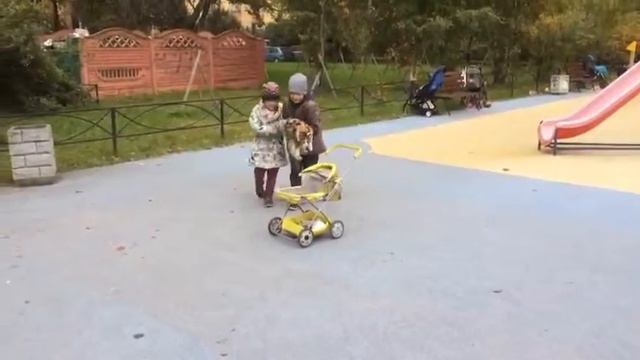 Прогулка, кот и коляска смотреть онлайн