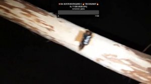 ?РАЗОБЛАЧЕНИЕ КАНАЛА _МАКСИМ МЕДВЕДЕВ_?ВЫЖИВАНИЕ В ЛЕСУ ЗИМОЙ??BUSH'CRAFT?ДОБЫЧА ОГНЯ В МИНУС -30⁰C