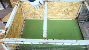 Содержание перепелок – несушек на улице. От клетки до перепелок своими руками