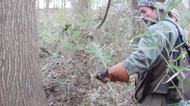 The Goldsboro Falconry Meet