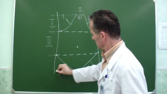 Области передней брюшной стенки смотреть онлайн