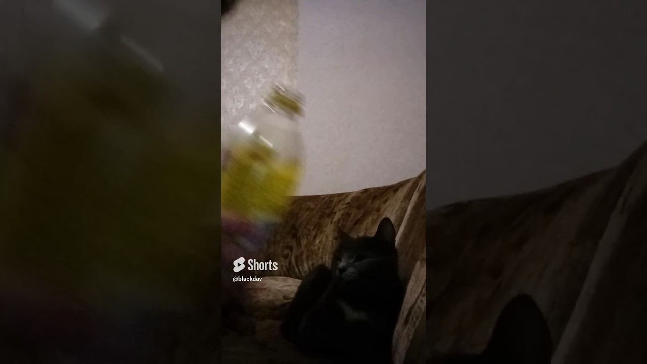 Лечебный чай Lipton ☕ смотреть онлайн