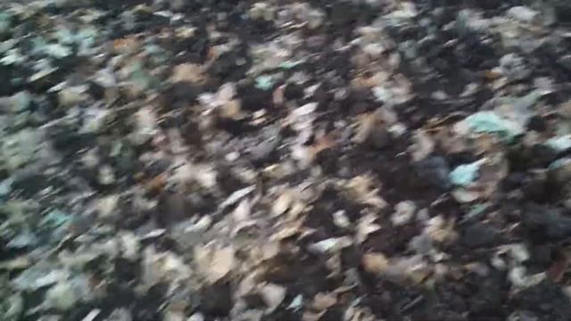 Защита насаждений озимого чеснока от низких температур смотреть онлайн