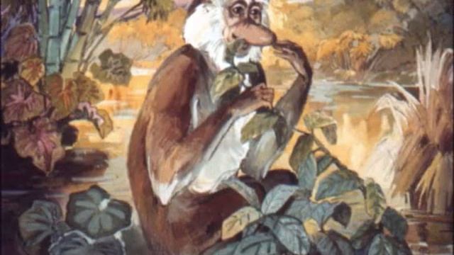 у кого нос длиннее смотреть онлайн