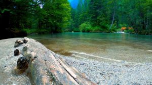 Calming Silent Mountain River. (10 hours). White Noise.