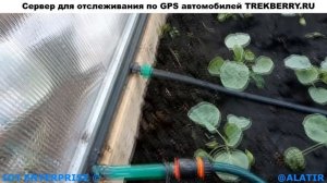 Монтаж капельного полива в теплице 3 на 4. Заглушка концов капельной трубы. Адаптер для подключения.