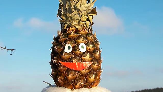 С днём рожденья ЛЕНА от Ананасыча смотреть онлайн