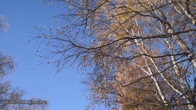 Осень. Листопад. Релакс / Autumn. Leaf fall. Relaxation смотреть онлайн
