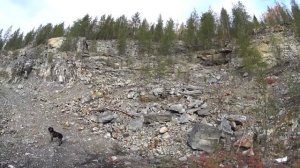 13 дней в тайге. Одиночный поход по Печоре. Часть 7. Заброшенная фабрика. Каменоломня времён ГУЛАГа