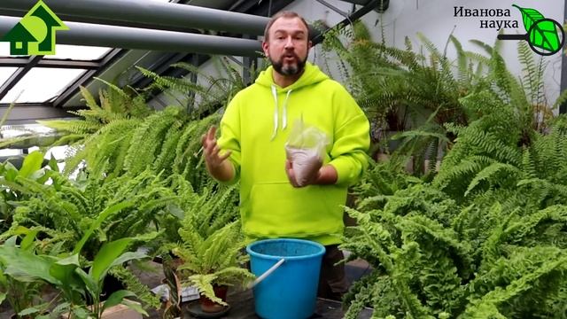 НАТУРАЛЬНОЕ УДОБРЕНИЕ ИЗ СКОТОБОЙНИ - МЯСОКОСНАЯ МУКА. Как выбирать, покупать и использовать.