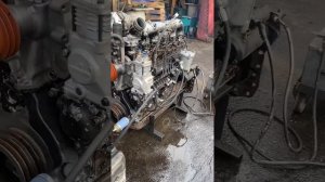 Запуск и обкатка д260.2 после кап ремонта.