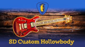 Обзор гитары Hollowbody от компании SD Custom Guitars