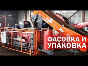 Упаковка овощей в мешки (видео)