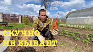 #146. Подготовка к огородному сезону 2024. Деревенский досуг:) [Жизнь на своей земле]