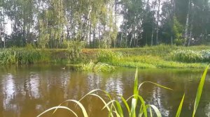 На маленьком плоту (Ю.Лоза)