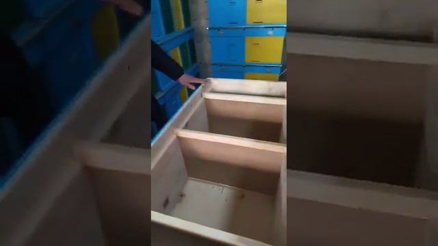 23 января 2024 г. смотреть онлайн